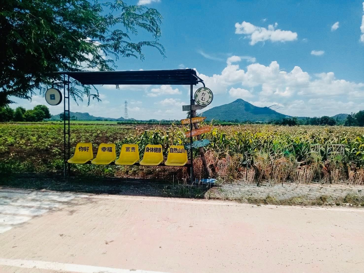 มุมถ่ายรูปวิวเขาถมอรัตน์